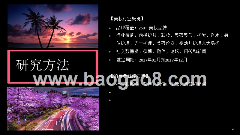 2018年美妆行业分析报告.pptx_第2页