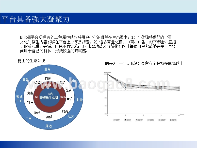 2018年中国二次元社区新生代用户分析报告.pptx_第5页