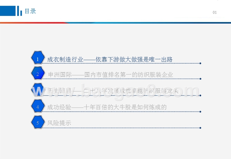 2018年纺织服装行业龙头公司研究报告.pptx_第2页