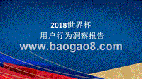 2018世界杯用户行为洞察报告.pptx