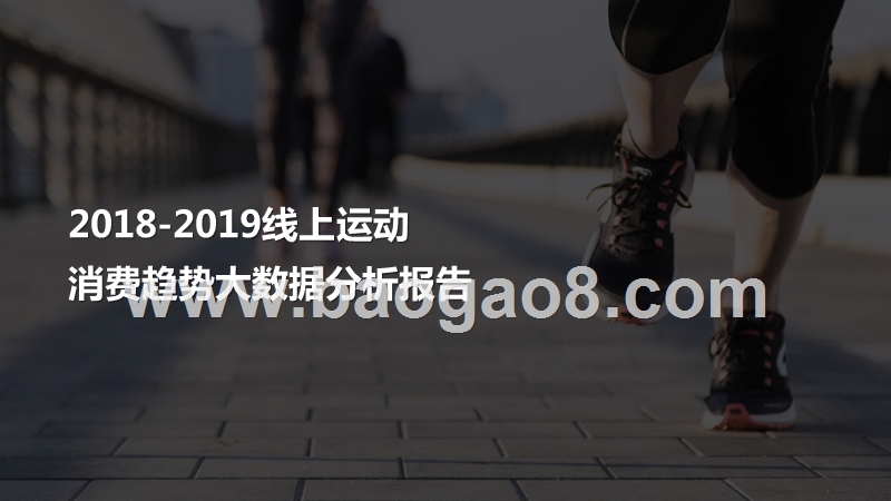 2018-2019线上运动消费趋势大数据分析报告.pptx_第1页