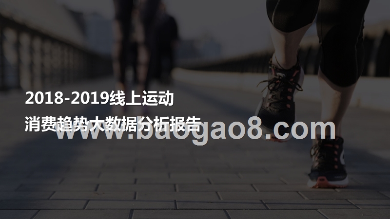 2018-2019线上运动消费趋势大数据分析报告.pptx_第1页