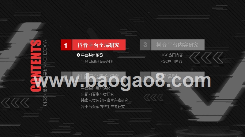 2018-2019短视频行业抖音研究报告.pptx_第3页