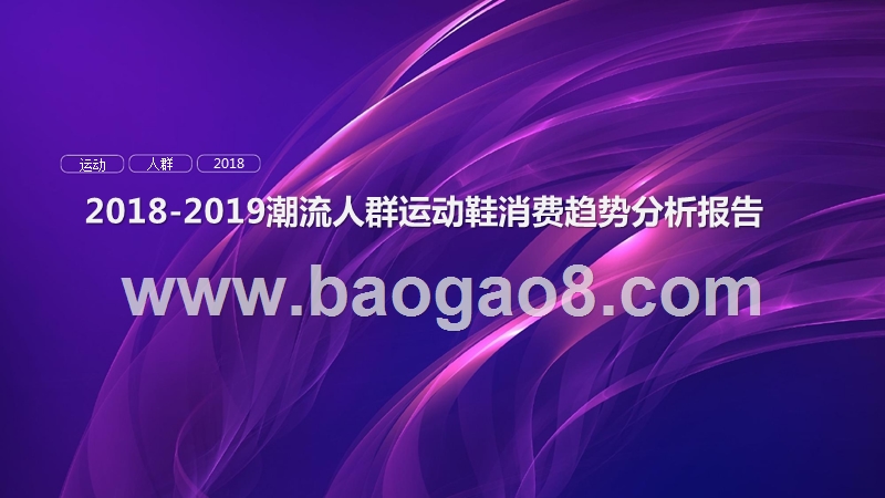2018-2019潮流人群运动鞋消费趋势分析报告.pptx_第1页