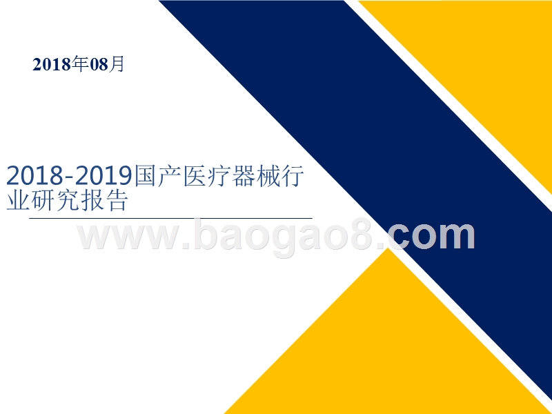 2018-2019国产医疗器械行业研究报告.pptx_第1页