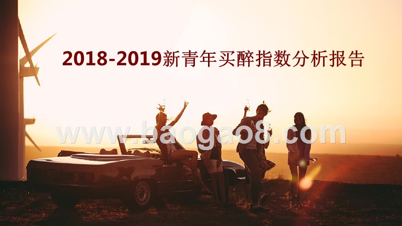 2018-2019新青年买醉指数分析报告.pptx_第1页