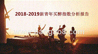 2018-2019新青年买醉指数分析报告.pptx