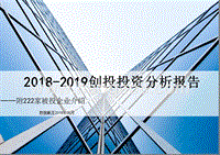 2018-2019创投投资分析报告.pptx