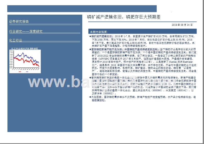 2018-2019磷肥行业分析报告.pptx_第2页