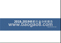 2018-2019磷肥行业分析报告.pptx