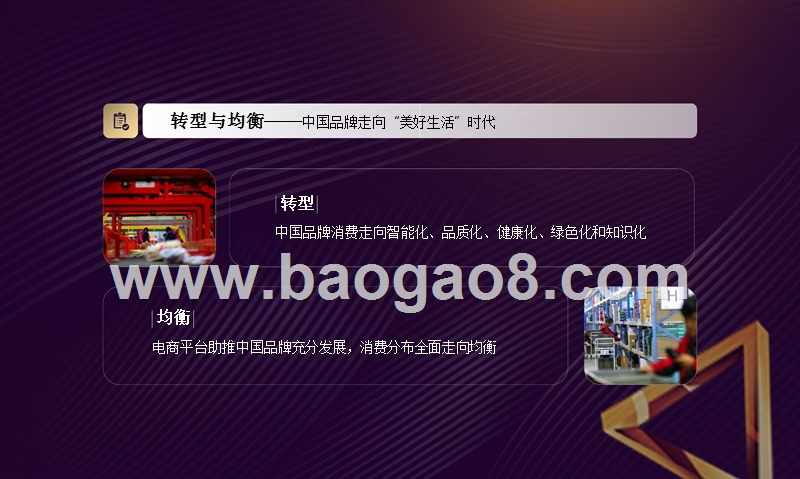 2018-2019互联网+中国品牌分析报告.pptx_第2页