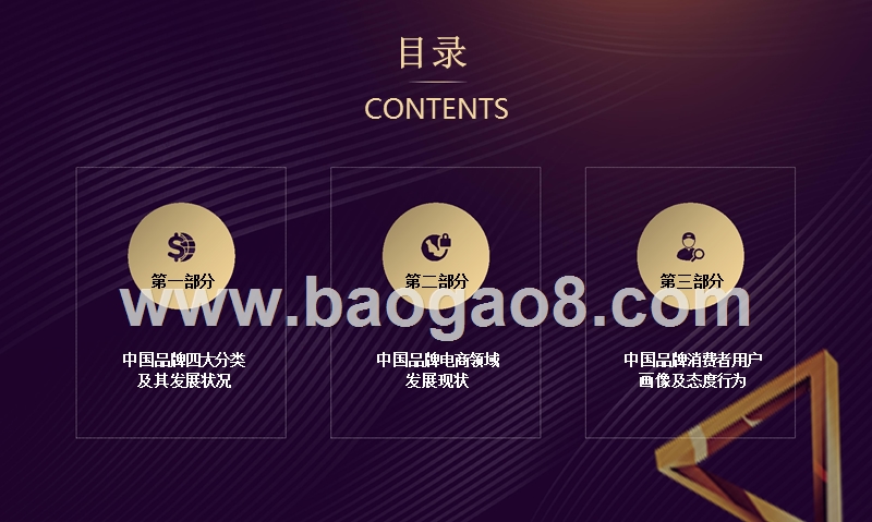 2018-2019互联网+中国品牌分析报告.pptx_第3页
