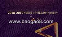 2018-2019互联网+中国品牌分析报告.pptx