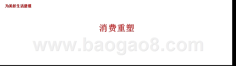 2017-2018消费均衡年度报告.pptx_第3页