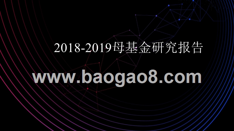 2018-2019母基金研究报告.pptx_第1页