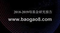 2018-2019母基金研究报告.pptx