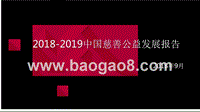 2018-2019中国慈善公益发展报告.pptx