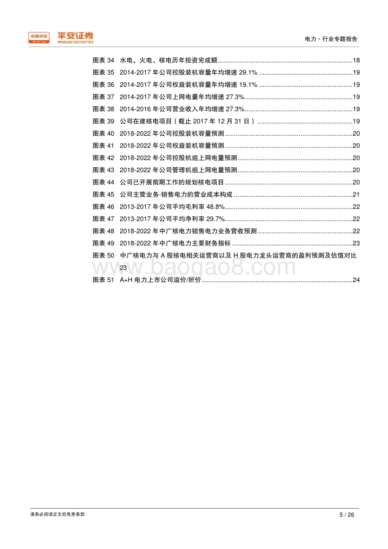 核电行业专题系列报告（二）：中广核电力：被低估的核电巨头.pdf_第5页