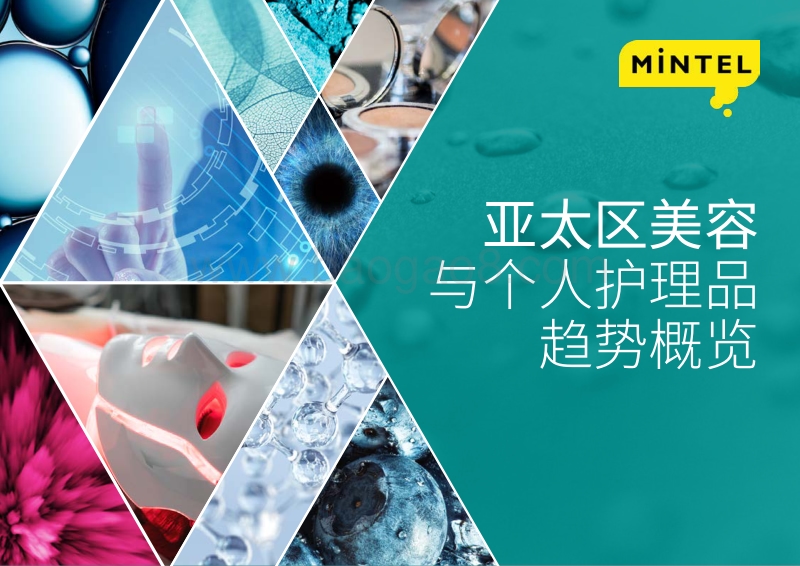 2018年全球美容与个人护理品趋势.pdf_第1页