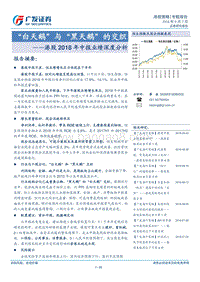 港股2018年中报业绩深度分析：“白天鹅”与“黑天鹅”的交织.pdf