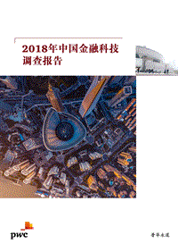 2018年中国金融科技调查报告.pdf