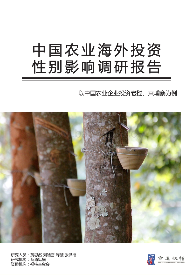 中国农业海外投资性别影响调研报告.pdf_第1页