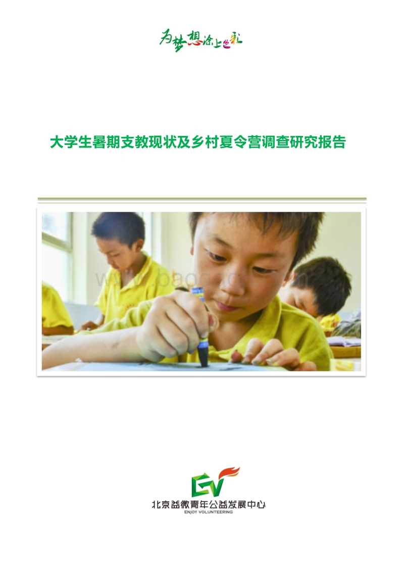 大学生暑期支教现状及乡村夏令营调查研究报告.pdf_第1页
