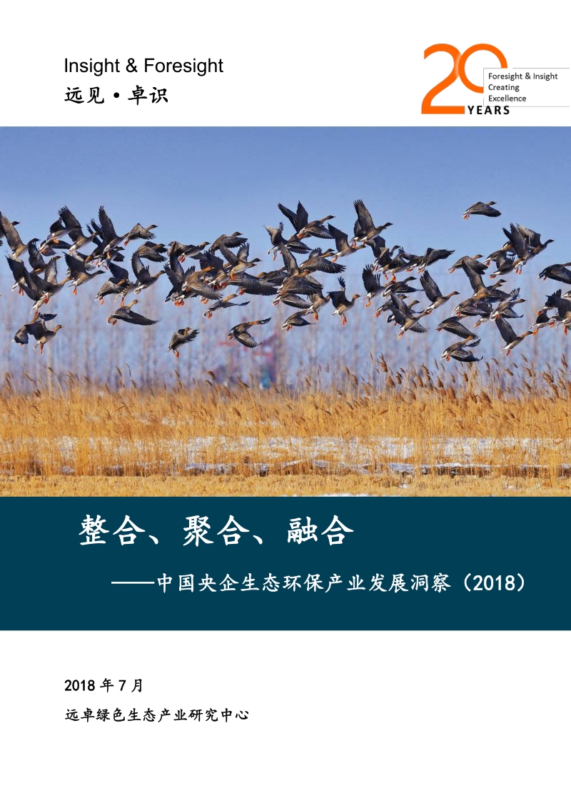 2018中国央企生态环保产业发展洞察.pdf_第1页