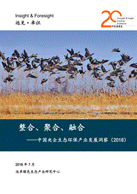 2018中国央企生态环保产业发展洞察.pdf