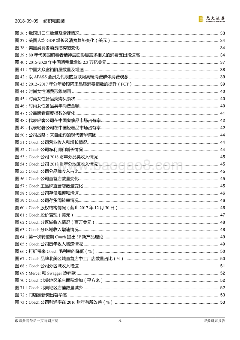 轻奢行业深度报告：国内国外都精彩，布局轻奢正当时.pdf_第5页