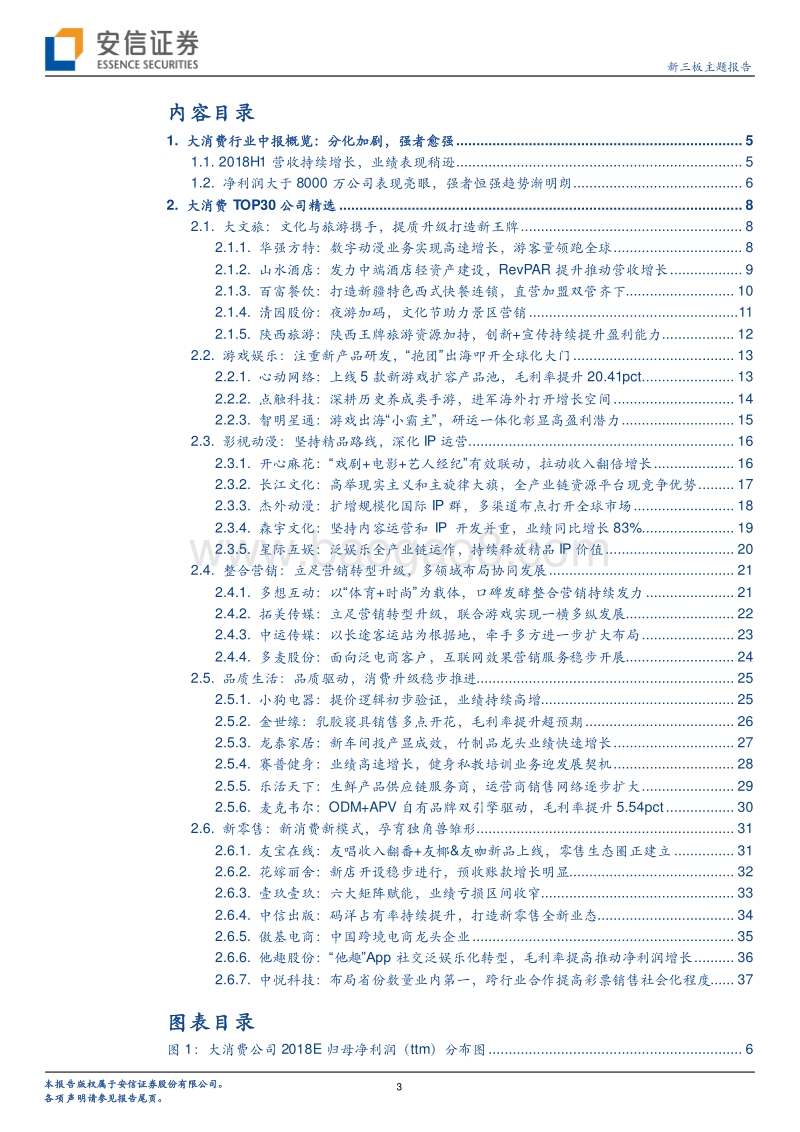 大消费2018半年度TOP30：立身十字路口，头部率先突围？.pdf_第3页
