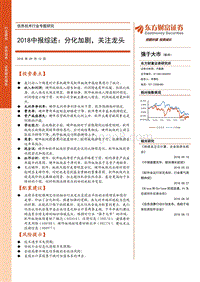信息技术行业专题研究：2018中报综述：分化加剧，关注龙头.pdf