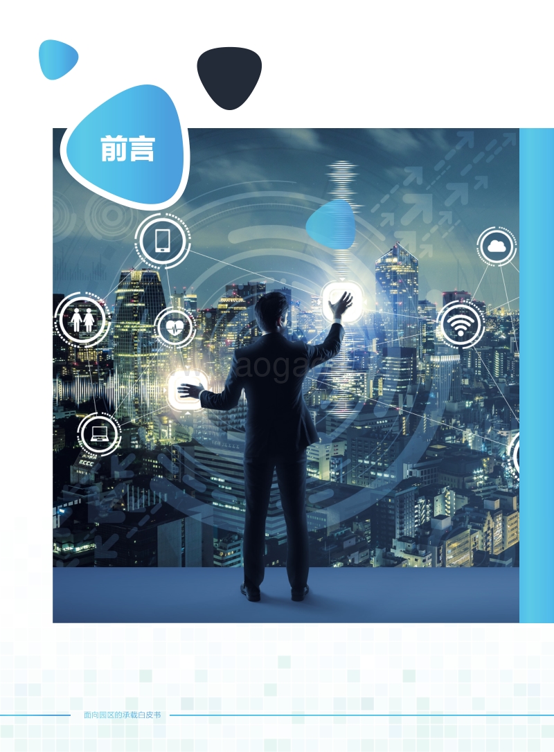 面向园区的承载白皮书.pdf_第2页