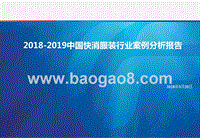 2018-2019中国快消服装行业案例分析报告.pptx