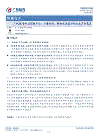 音乐流媒体平台：从量到价，精细化运营推动音乐产业复苏.pdf