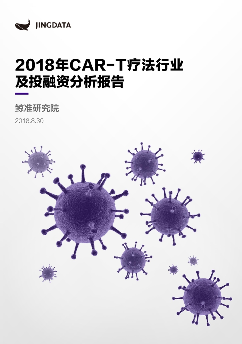 2018年CAR-T疗法行业及投融资分析报告.pdf_第1页