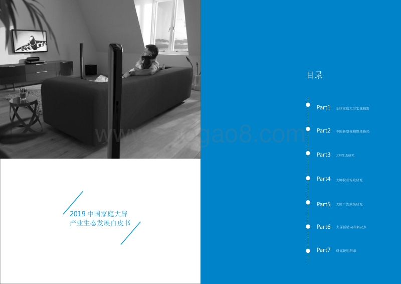 2019年中国家庭大屏产业生态发展研究报告.pptx_第2页