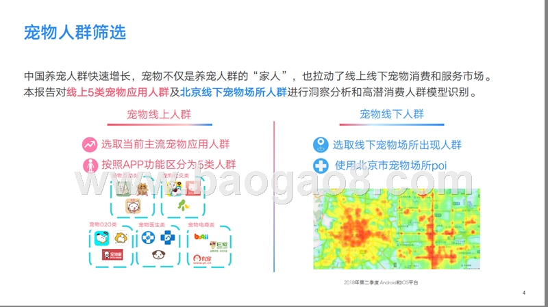 2018-2019宠物人群研究报告.pptx_第4页