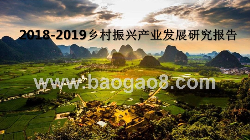 2018-2019乡村振兴产业发展研究报告.pptx_第1页