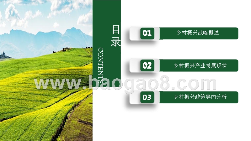 2018-2019乡村振兴产业发展研究报告.pptx_第2页