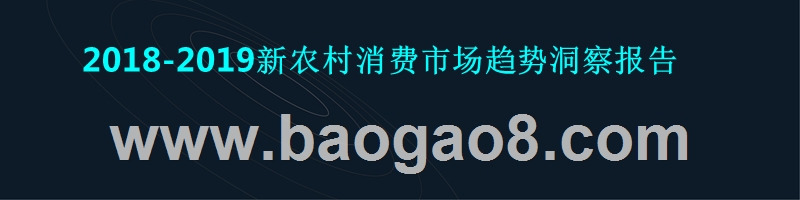 2018-2019新农村消费市场趋势洞察报告.pptx_第1页