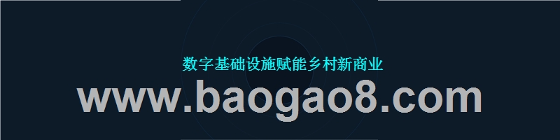 2018-2019新农村消费市场趋势洞察报告.pptx_第4页