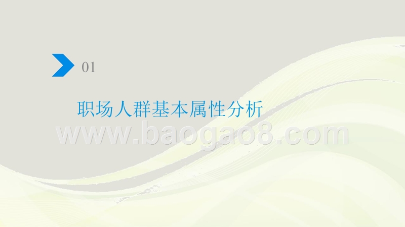 2018-2019职场人群换车需求分析报告.pptx_第4页