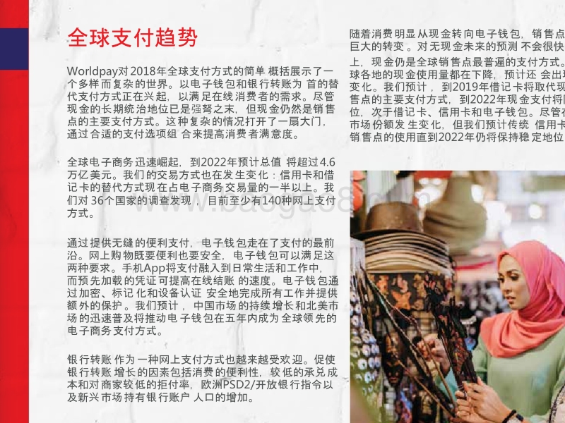 2018-2019全球支付行业分析报告.pptx_第5页