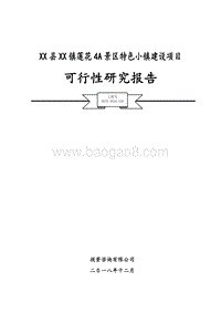 XX县特色小镇项目可研报告.docx