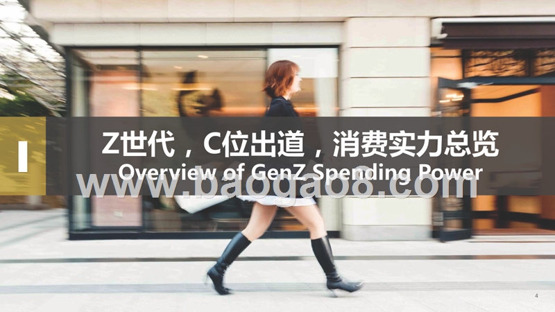 2018-2019年Z世代消费行为研究报告.pptx_第4页