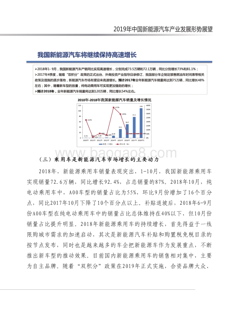2019年中国新能源汽车产业发展形势展望报告.pdf_第5页