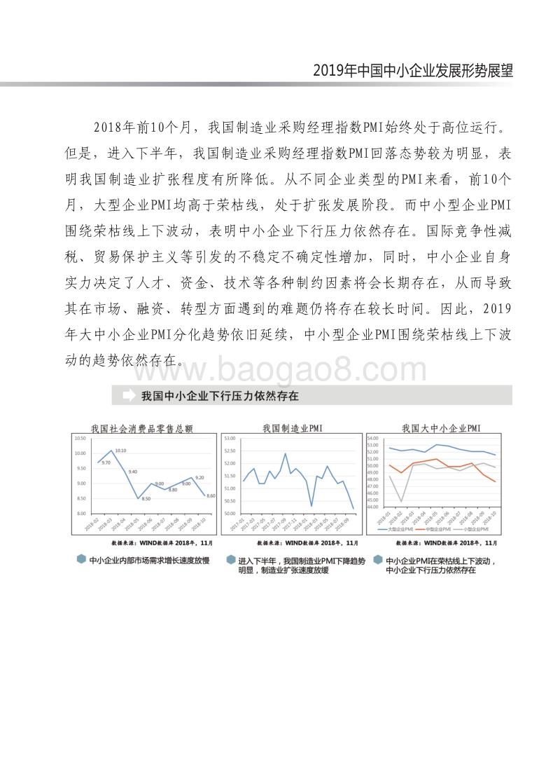 2019年中国中小企业发展形势展望报告.pdf_第5页