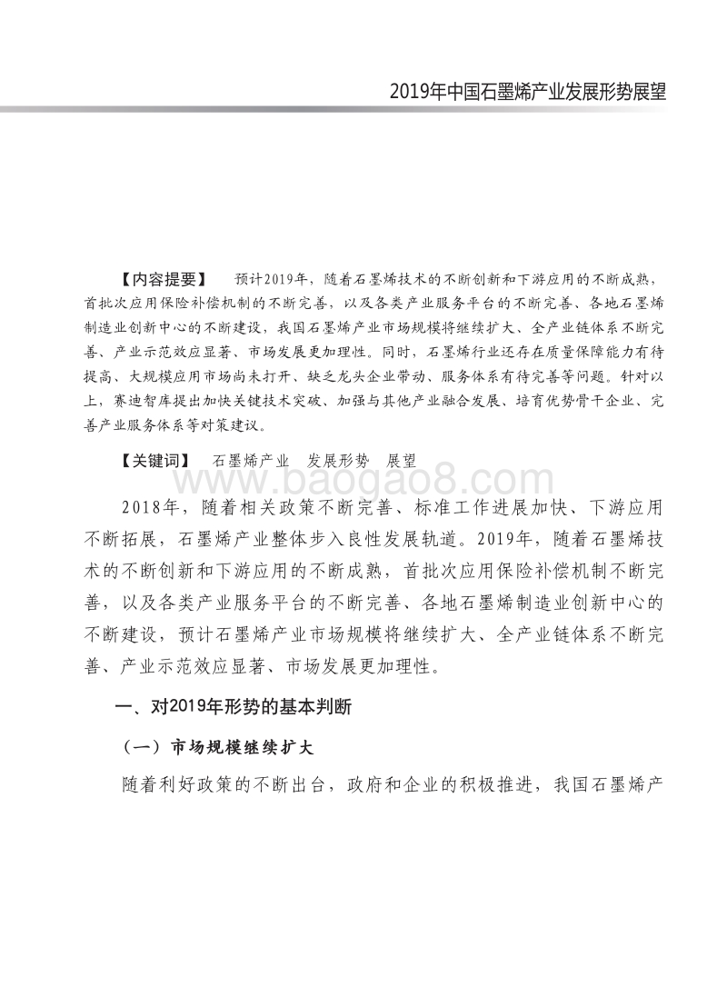 2019年中国石墨烯产业发展形势展望报告.pdf_第2页