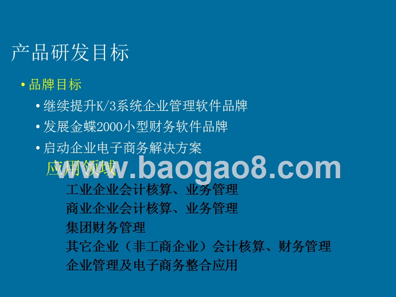 某某软件产品发展计划书.ppt_第2页